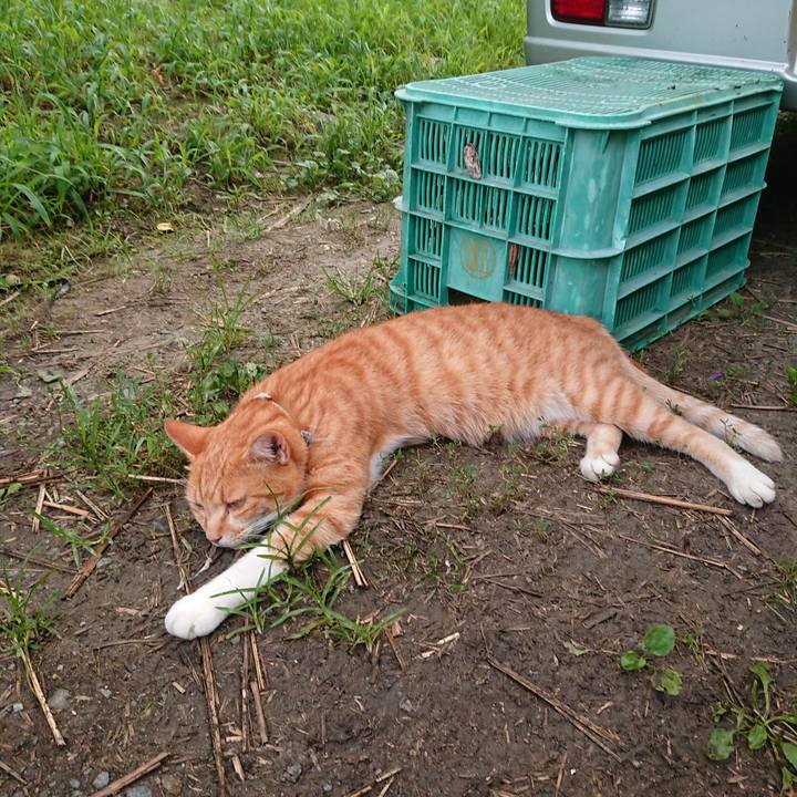 34db4327 60b4 4527 974c 10420326543e 1597137316762