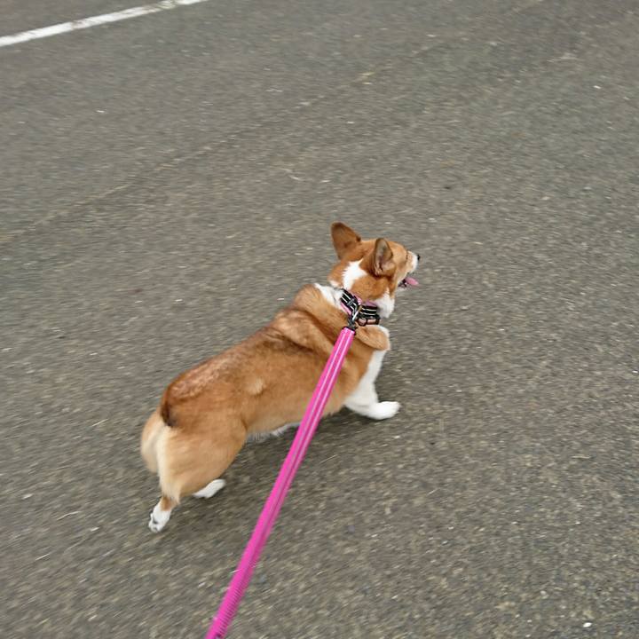 34db5521 2e77 424f 81bd c1f52234dbcb 1510235660761