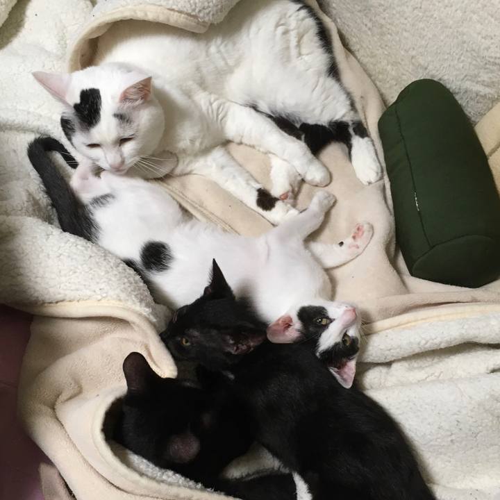 34db8dd0 201c 43e7 9153 bc654153e1a9 1629341934024