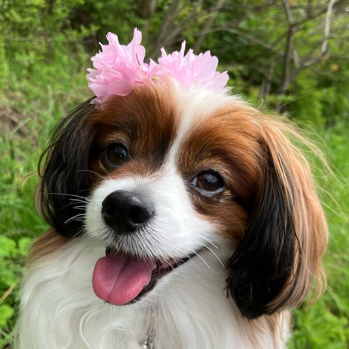 34db97ed 3ec6 4005 8f08 cf27d169586d 1747796717672