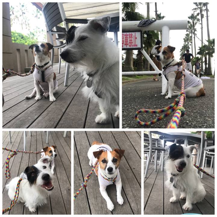 34dbb41c 57ff 4971 9df5 4c4439ae1812 1534666748439