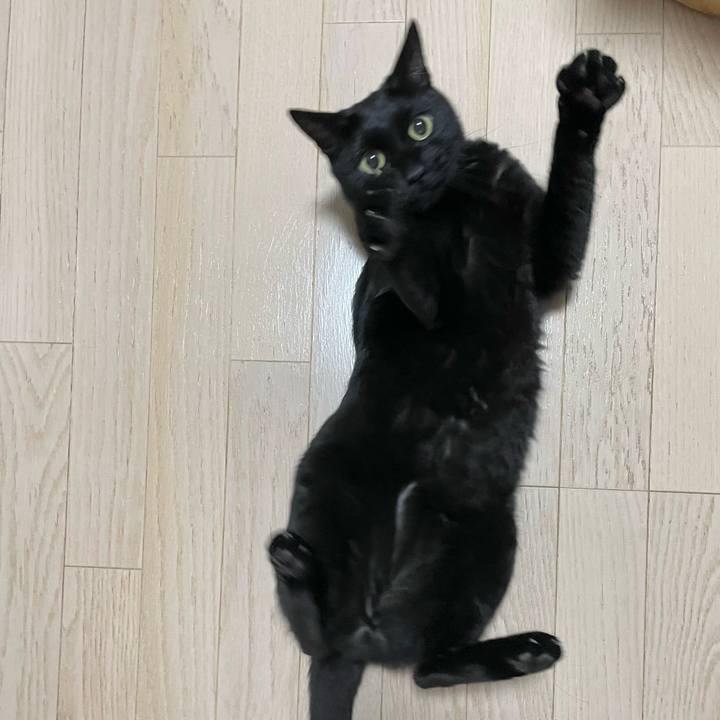 34dc139a 0a63 420d ada9 ff19bf6d0911 1664289900837