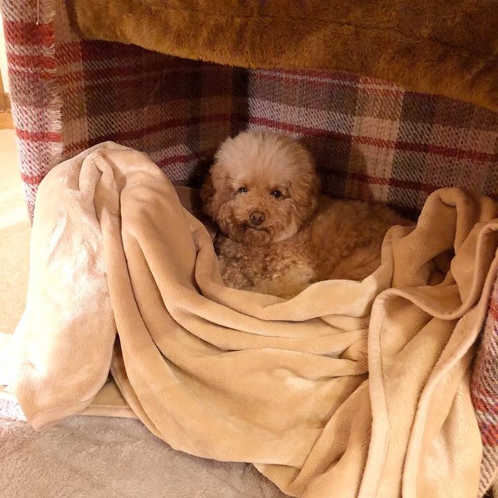 34dc2661 fae2 4179 8127 619b2cb9e0be 1511087629536