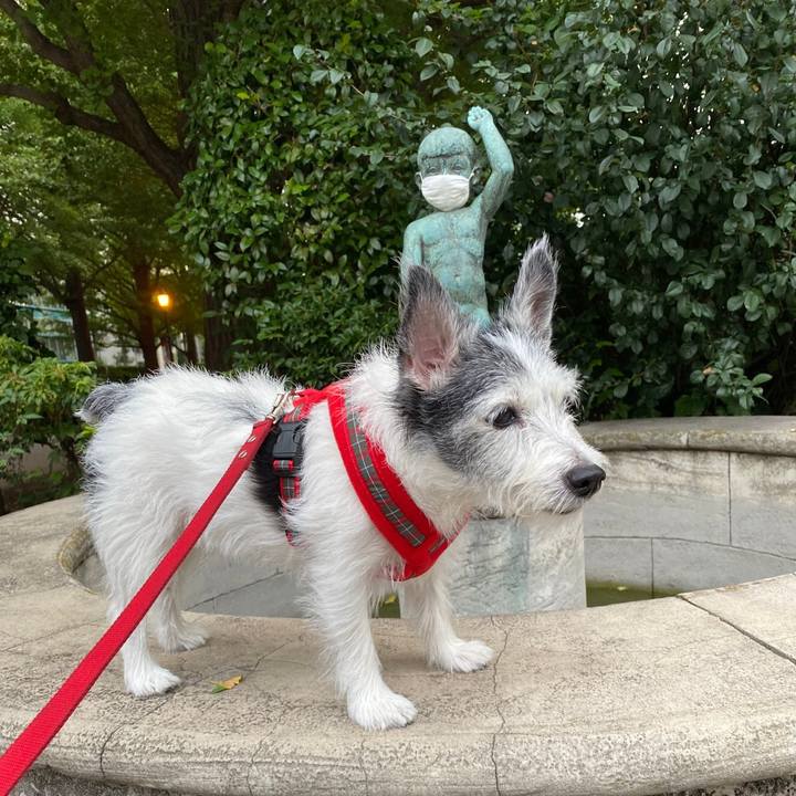 34dc46f0 e25d 4029 a511 67c021712d64 1598312892662