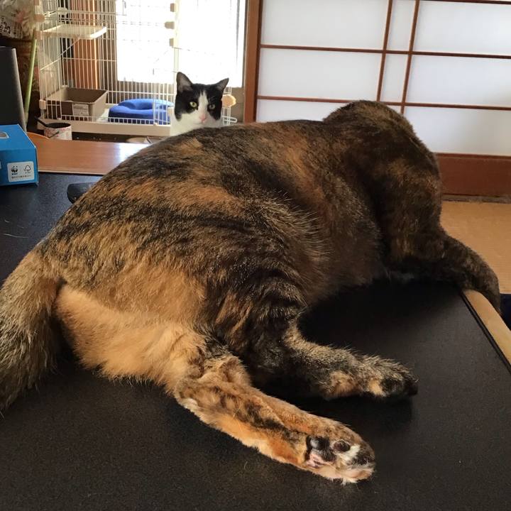 34dc48ee b5d9 4bad b71b 5a2233c61b33 1707694481337