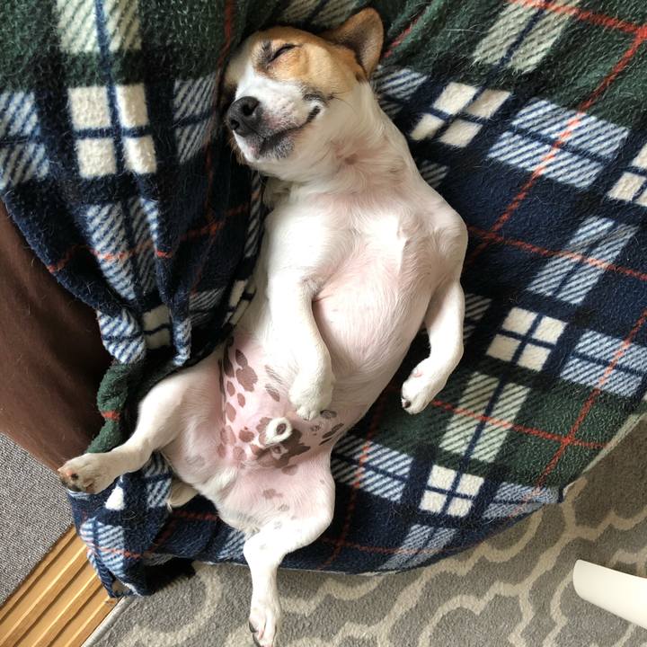 34dc59de 8311 4f34 8ee2 dc2d5131b54a 1589590071802