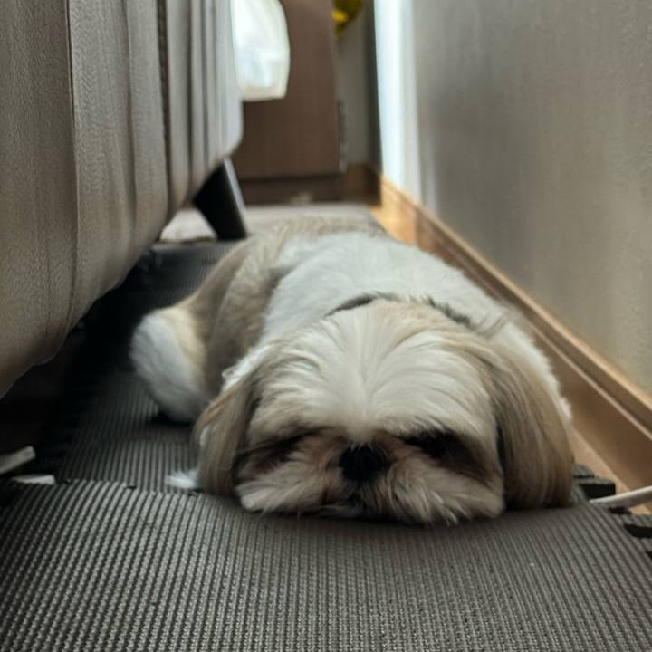 34dc6245 5ded 41cd a937 b904799467a9 1723859647159