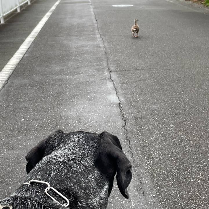 34dc8430 98ad 4539 8f6a e39e47070d14 1654950732255