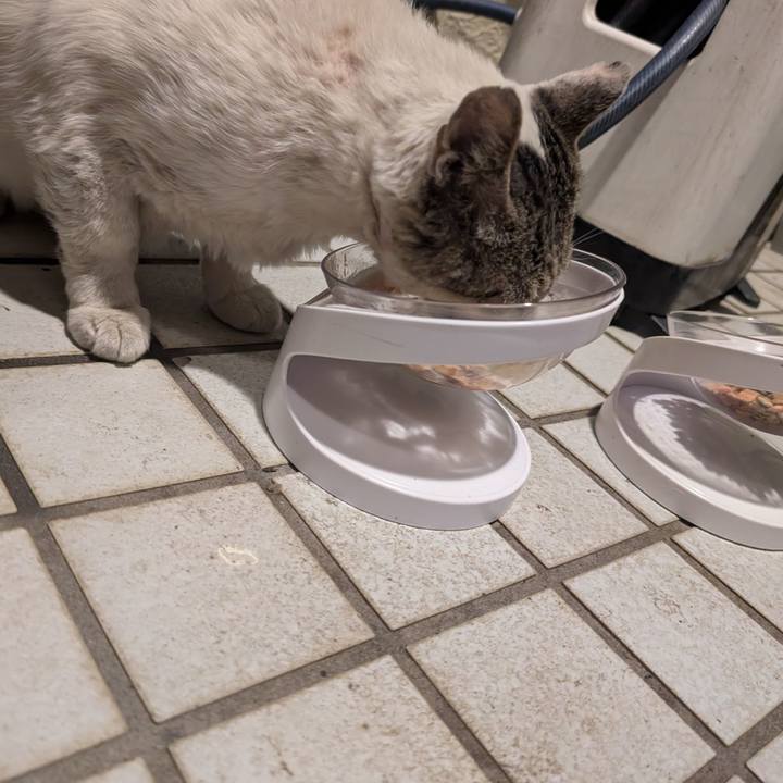 34dc9cc0 2ff6 4bb8 8a01 73102e75083e 1749052758119