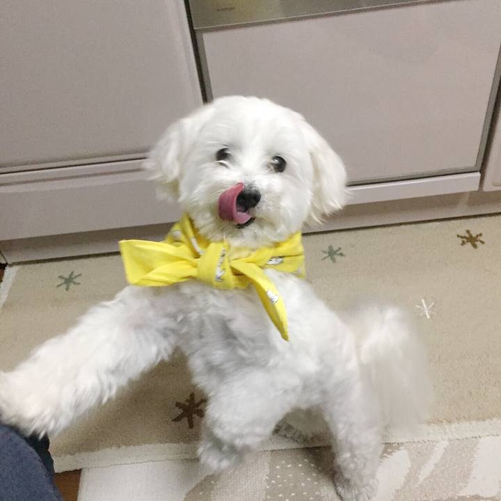 34dca82d fe49 421c b7a4 2f8c69f3957f 1528199455333