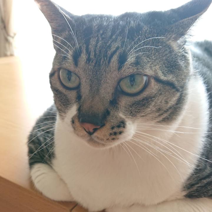 34dce00e dbf8 4843 90eb 1b27b266e5e7 1524436060660