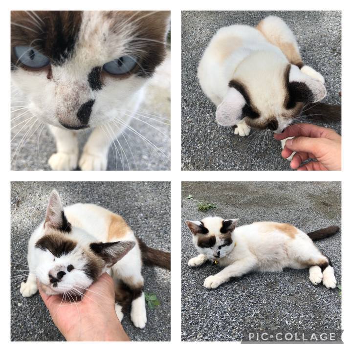 34dce058 059e 4a5f 9908 2b8aba0f8a14 1629272590865