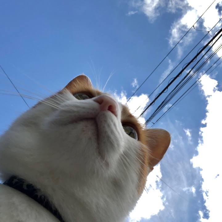 34dce1e5 1b3f 46f2 8dd8 e6f1844d3b46 1563005020590