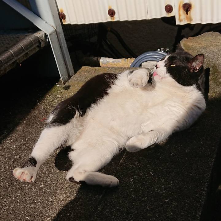 34dceec3 ebb8 4e0c 93b1 9f15377b4e60 1547349882664