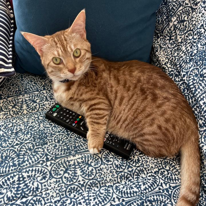 34dd6a88 e5b7 4d9b 8238 6e398124e99f 1717218621949