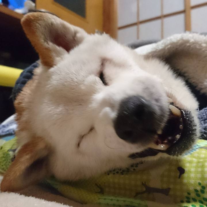 34dd730f a241 4124 9c19 ef5ff54ccf5e 1517579188618