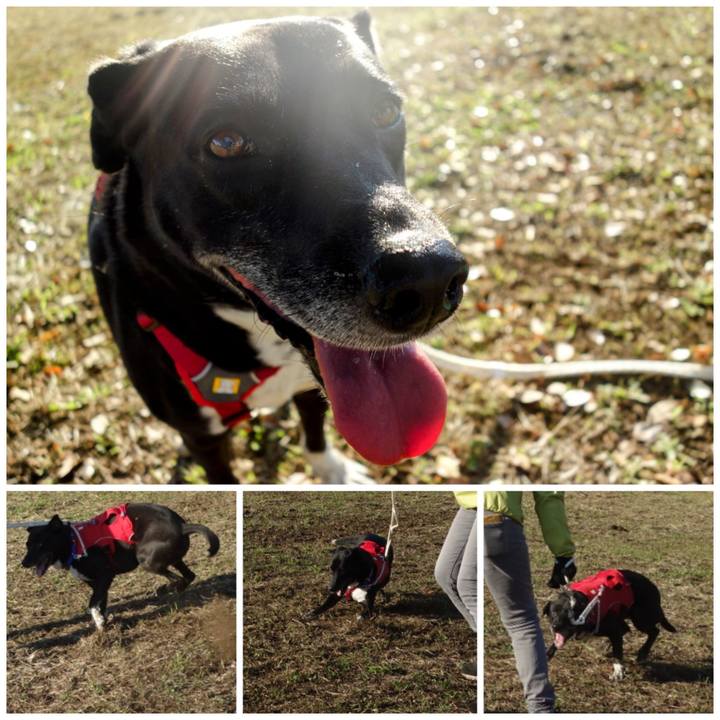 34dd7587 ef16 4154 be94 c9e6782b57f6 1667870651250