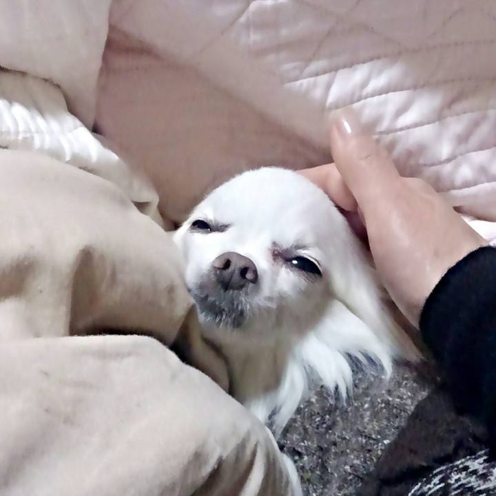 34dda2d1 f4df 4b7b 9414 d8c53589d3f9 1513516810868