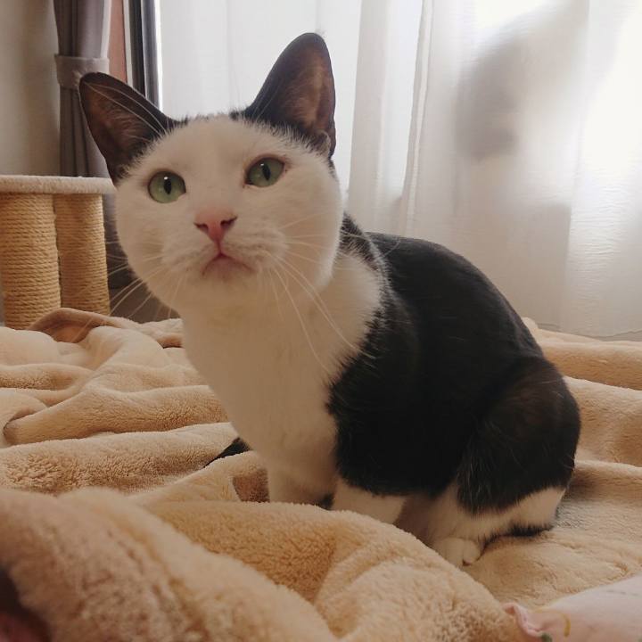 34ddbf91 1068 41e8 838b 9d9042d33d8f 1554260107186