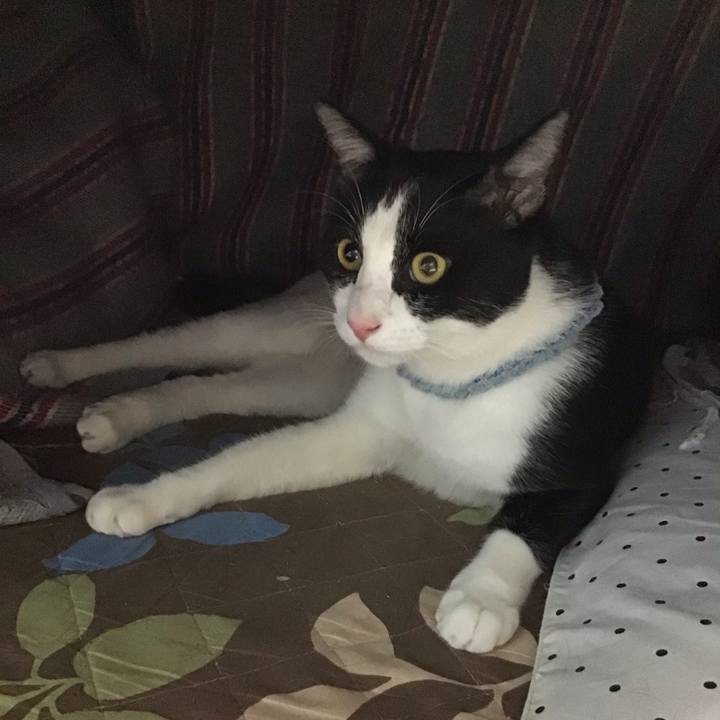 34ddd4ff e527 4127 8fb6 918603e252b1 1664351361994