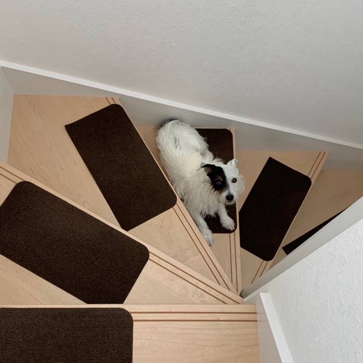 34ddd7e1 eb02 4fc5 9a97 2920c3abd212 1596595651915