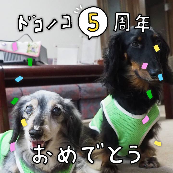 34dddb0a 3f8e 4ff3 87ce 407a4268a43a 1622857856621