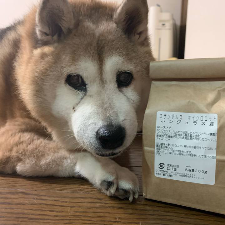 34dddc27 004a 44fb b168 122a2bf21319 1627644964443