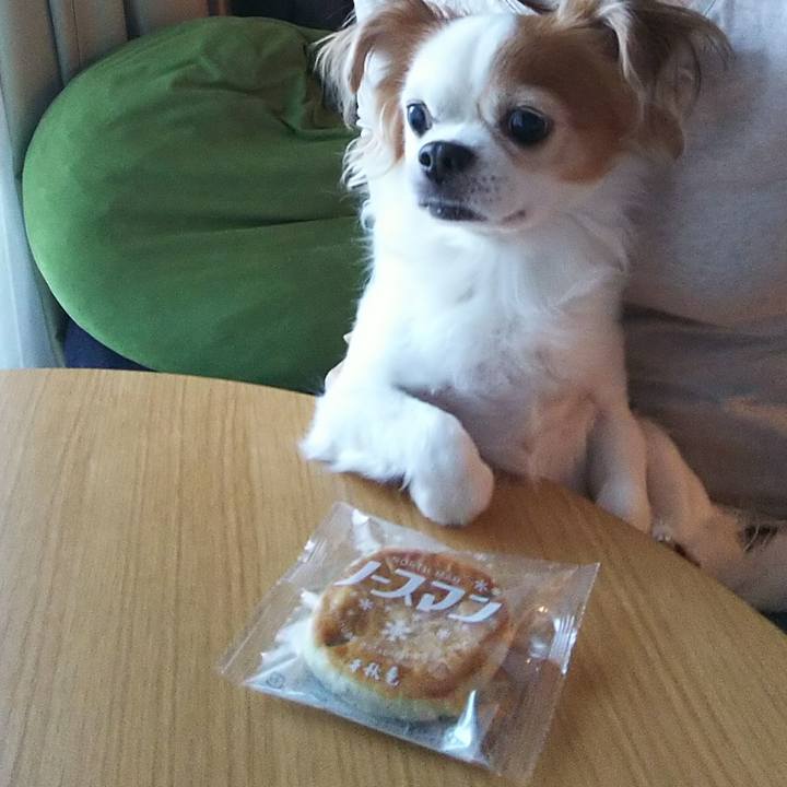 34ddfeef 77a4 44d8 8628 b7eacb963e33 1538465995582