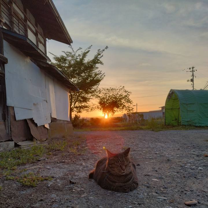 34de4f83 fbb6 452c 8ef5 186a006569ba 1693611193228