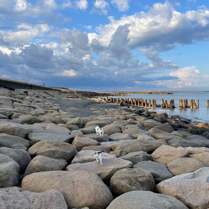 34deed87 4384 4882 ab0a 04cc763a7bda 1667865987211