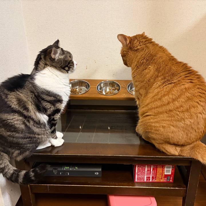 34def7e9 eb77 469b ac7c 45969725ca93 1764760298663