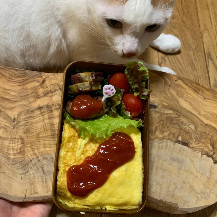 34defcf3 0fde 4200 b336 628b4d1b00d5 1652305559783