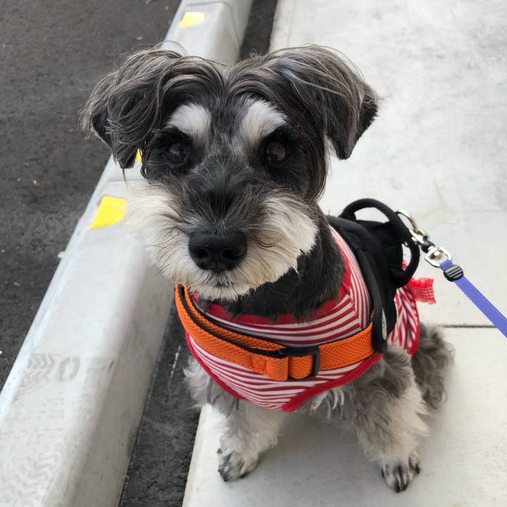 34df05bf 0281 475c b059 3a8aa6b139d8 1696728739908