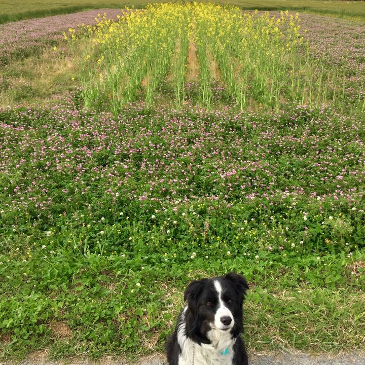 34df0c97 dcd0 45be bece 452ed463d5e7 1587598057671