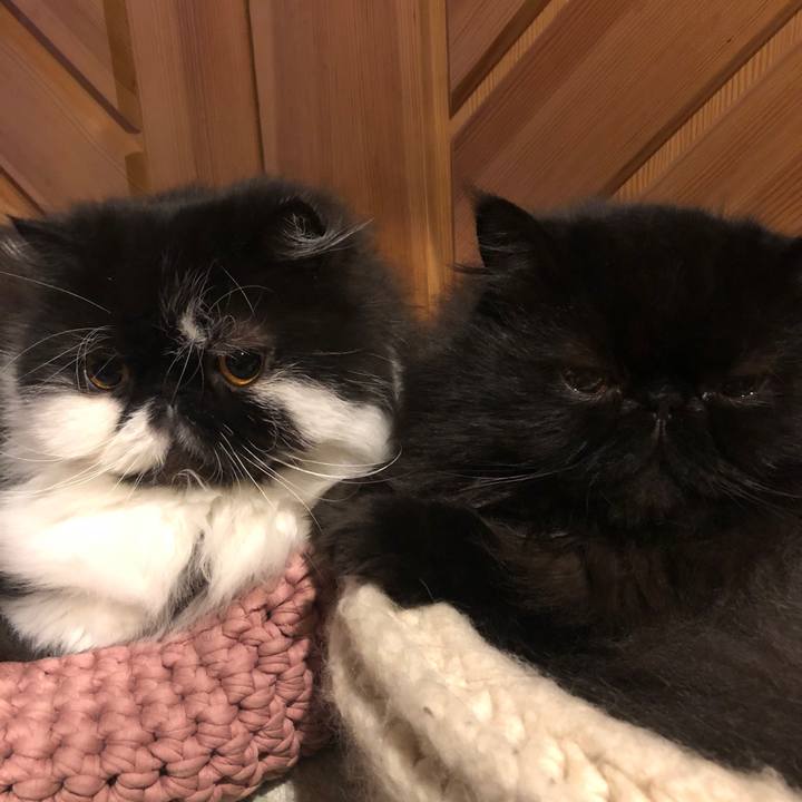 34df1649 6151 43c0 a953 3932913cc88b 1612473717796