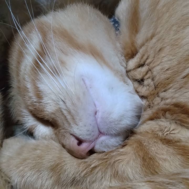 34df3eb7 d64d 4641 a28d 40ca217e8c79 1666009983638