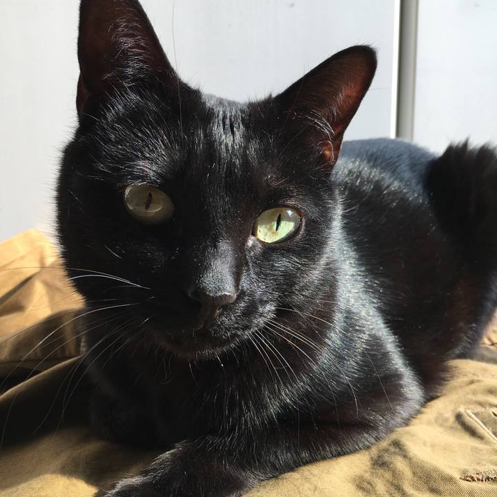 34df8880 1809 447c 94bb cca9bef8a638 1555627747795