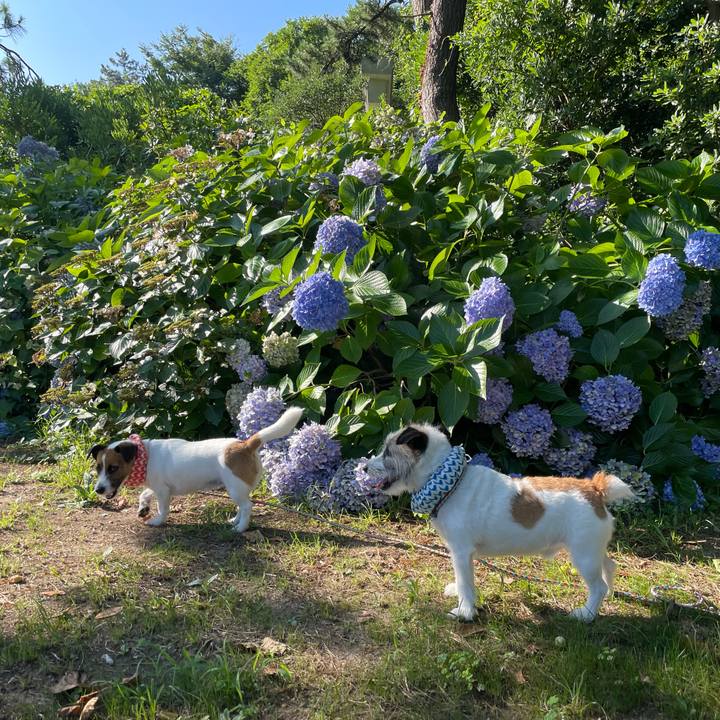 34df9178 7fe2 4f11 aea6 16f174ee6ea7 1690499244605