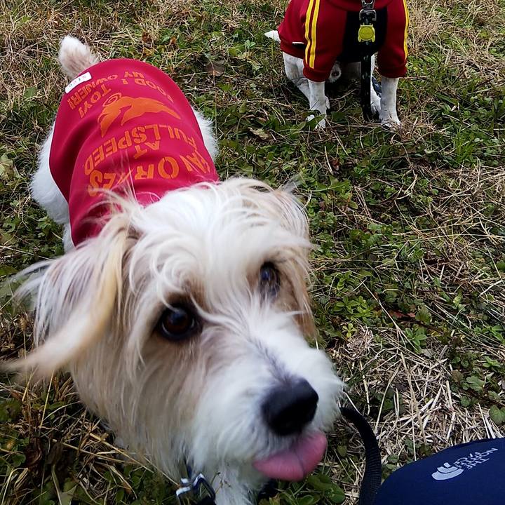 34dfb06d f947 41ac bee6 03bce1f8ef1e 1546411467978