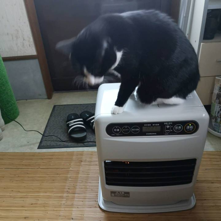 34dfc2d2 aef3 46c0 95c2 e0d86be8995e 1666323612704