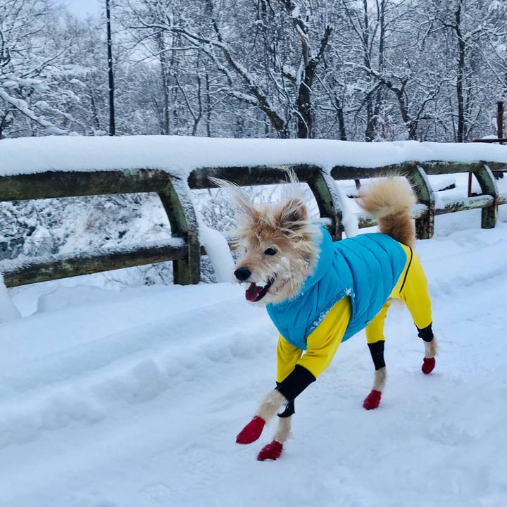 34dfd691 0be6 4ffb b235 c50a61cdf099 1580944823519