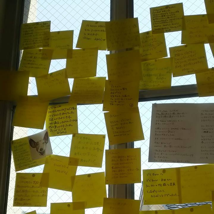 34dfe064 77be 4a1f bf8b 55b42f360331 1524236645793