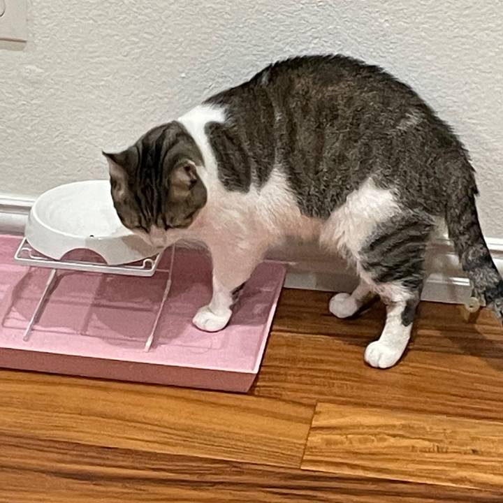 34e033aa d48d 4b9d 910f 2bf392a7ffd6 1696552723831