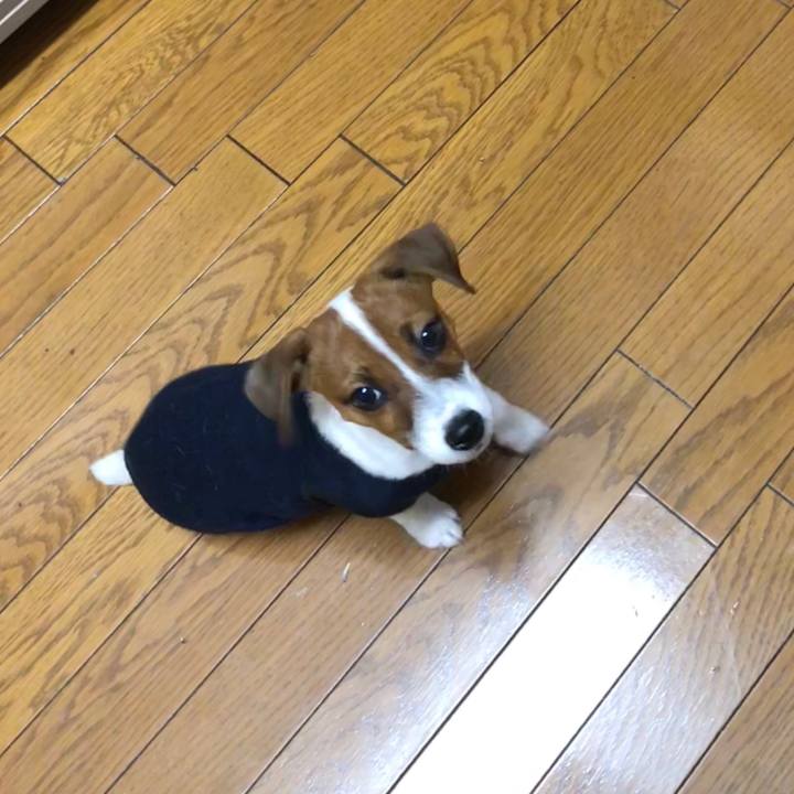 34e0ce8a 22e8 4d0b 9e68 d1863b7a7be9 1515205351473