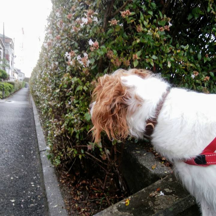 34e0ef4b 30ef 43b5 96bd 6620e4f1cd86 1537433858511