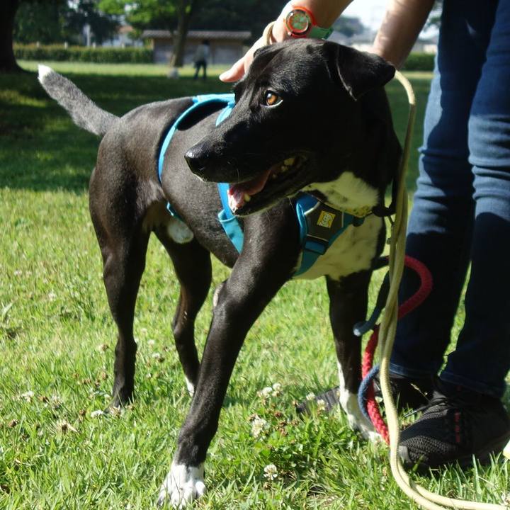 34e0faf8 a383 4e42 ae5f 0c7b4cac2bd3 1623111822656