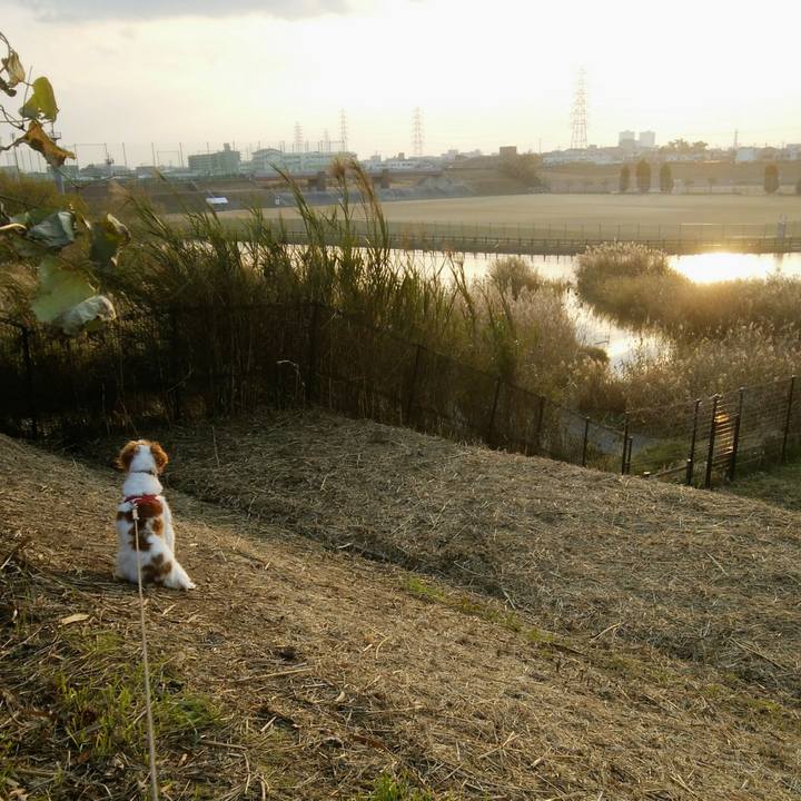 34e11b60 1be6 41e7 9efd 28adf60e673f 1545218301591