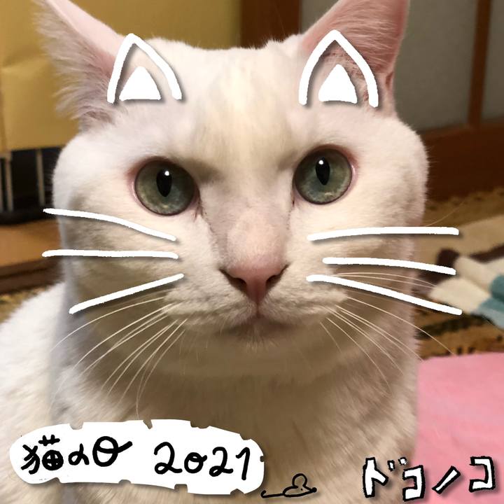 34e1375f 5279 42e9 9ad5 111db9f8991d 1613995154386