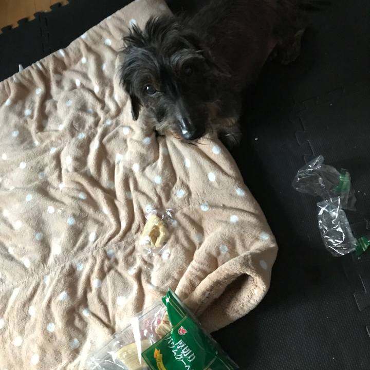 34e13eb3 b667 453c bb46 63825a0540f7 1549267127817