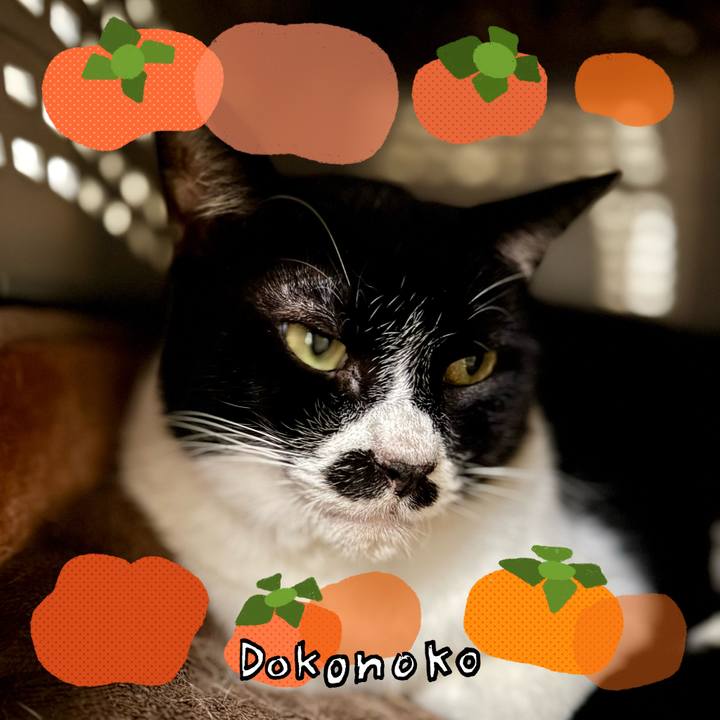 34e16b74 c68c 45cc adc7 9e9b8c0dd459 1761269067271